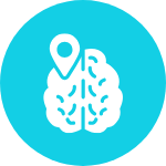 Brain Mapping