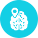 Brain Mapping
